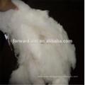 good price 100% pure mongolia cashmere fiber